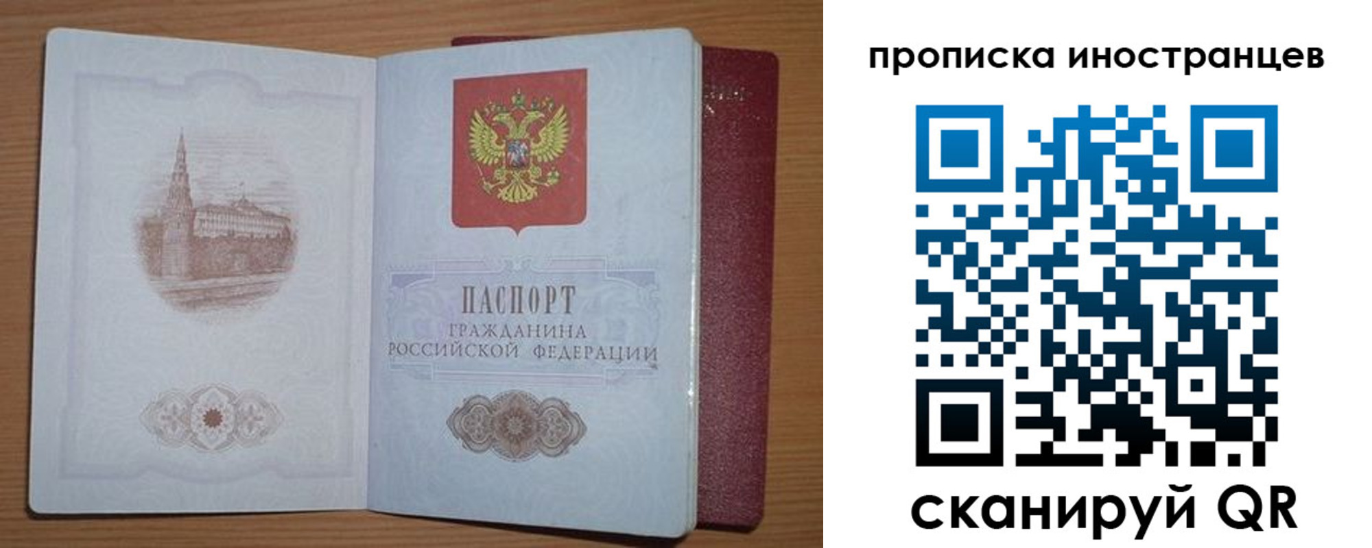 прописка регистрация в Ельне